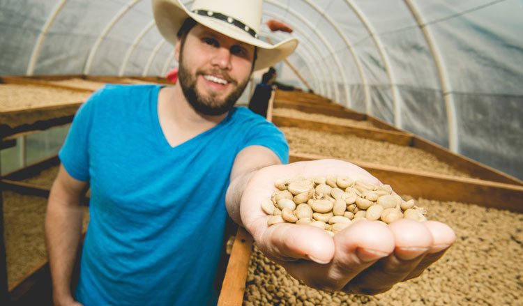 Shaun Maeyens at Honduras Coffee Farm