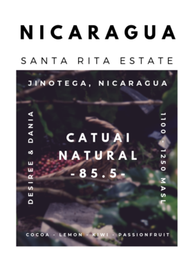 Nicaragua - Catuai Natural